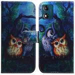 For Motorola Moto E13 Coloured Drawing Flip Leather Phone Case(Oil Painting Owl)