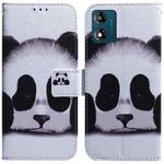 For Motorola Moto E13 Coloured Drawing Flip Leather Phone Case(Panda)