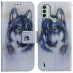 For Nokia C31 Coloured Drawing Flip Leather Phone Case(White Wolf)