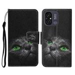 For Xiaomi Redmi 12C Colored Drawing Pattern Flip Leather Phone Case(Black Cat)