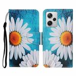 For Xiaomi Redmi Note 12 Pro 5G/Poco X5 Pro Colored Drawing Pattern Flip Leather Phone Case(Chrysanthemum)