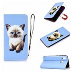 For Galaxy A40 3D Painting Horizontal Flip Leather Case with Holder & Card Slot & Wallet & Lanyard(Cat)