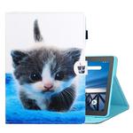 For Lenovo Tab M10 TB-X605F / X505 Coloured Drawing Horizontal Flip Leather Case with Holder & Card Slot(Blue White Cat)