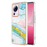 For Xiaomi 13 Lite 5G Electroplating Marble Dual-side IMD Phone Case(Green 004)