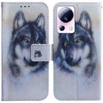 For Xiaomi 13 Lite / Civi 2 Coloured Drawing Flip Leather Phone Case(White Wolf)