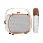 NewRixing NR138W Wireless Microphone TWS Handheld Noise Reduction Portable Smart Bluetooth Speaker(White)