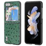 For Samsung Galaxy Z Flip5 ABEEL Genuine Leather Ostrich Texture Phone Case(Green)
