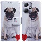 For Infinix Hot 30 Play Coloured Drawing Flip Leather Phone Case(Pug)