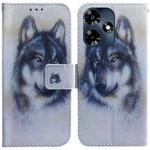 For Infinix Hot 30 Coloured Drawing Flip Leather Phone Case(White Wolf)