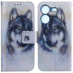 For Tecno Pova 5 Coloured Drawing Flip Leather Phone Case(White Wolf)