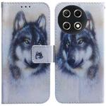 For Tecno Camon 30S / Camon 30S Pro Coloured Drawing Flip Leather Phone Case(White Wolf)