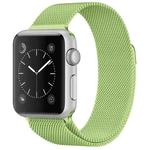 For Apple Watch Ultra 49mm / Series 8&7 45mm / SE 2&6&SE&5&4 44mm / 3&2&1 42mm Milanese Loop Magnetic Stainless Steel Watch Band(Mint Green)