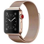 For Apple Watch Ultra 49mm / Series 8&7 45mm / SE 2&6&SE&5&4 44mm / 3&2&1 42mm Milanese Loop Magnetic Stainless Steel Watch Band(Champagne Gold)