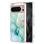 For Google Pixel 8 Pro Electroplating Marble Dual-side IMD Phone Case(Green 003)
