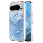 For Google Pixel 9 Electroplating Marble Dual-side IMD Phone Case(Blue 018)