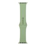 For Apple Watch Series 8&7 41mm / SE 2&6&SE&5&4 40mm / 3&2&1 38mm Silicone Watch Band, Long Section (Men)(Mint Green)