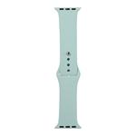 For Apple Watch Series 8&7 41mm / SE 2&6&SE&5&4 40mm / 3&2&1 38mm Silicone Watch Band, Long Section (Men)(Light Green)