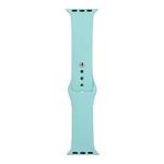 For Apple Watch Series 8&7 41mm / SE 2&6&SE&5&4 40mm / 3&2&1 38mm Silicone Watch Band, Long Section (Men)(Ice Blue)