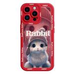 For iPhone 15 Pro Liquid Silicone Oil Painting Rabbit Phone Case(Red)