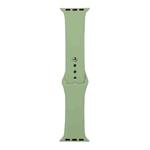 For Apple Watch Series 8&7 41mm / SE 2&6&SE&5&4 40mm / 3&2&1 38mm Silicone Watch Band, Short Section (female)(Mint Green)