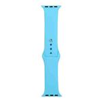 For Apple Watch Series 8&7 41mm / SE 2&6&SE&5&4 40mm / 3&2&1 38mm Silicone Watch Band, Short Section (female)(Blue)