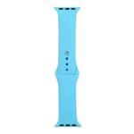 For Apple Watch Ultra 49mm / Series 8&7 45mm / SE 2&6&SE&5&4 44mm / 3&2&1 42mm Silicone Watch Band, Short Section (female)(Blue)