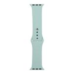 For Apple Watch Series 8&7 41mm / SE 2&6&SE&5&4 40mm / 3&2&1 38mm Silicone Watch Band, Short Section (female)(Light Green)