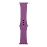 For Apple Watch Series 8&7 41mm / SE 2&6&SE&5&4 40mm / 3&2&1 38mm Silicone Watch Band, Short Section (female)(Purple)