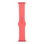 For Apple Watch Ultra 49mm / Series 8&7 45mm / SE 2&6&SE&5&4 44mm / 3&2&1 42mm Silicone Watch Band, Short Section (female)(Peach Red)