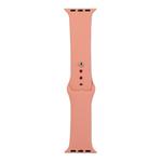 For Apple Watch Series 9&8&7 41mm / SE 3&SE 2&6&SE&5&4 40mm / 3&2&1 38mm Silicone Watch Band, Long Section (Men)(Begonia)