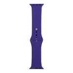 For Apple Watch Series 9&8&7 41mm / SE 3&SE 2&6&SE&5&4 40mm / 3&2&1 38mm Silicone Watch Band, Long Section (Men)(Dark Purple)