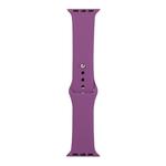 For Apple Watch Ultra 49mm&Watch Ultra 2 49mm / Series 9&8&7 45mm / SE 3&SE 2&6&SE&5&4 44mm / 3&2&1 42mm Silicone Watch Band, Long Section (Men)(Purple)