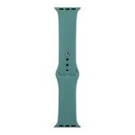 For Apple Watch Series 8&7 41mm / SE 2&6&SE&5&4 40mm / 3&2&1 38mm Silicone Watch Band, Long Section (Men)(Cactus)