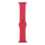 For Apple Watch Series 8&7 41mm / SE 2&6&SE&5&4 40mm / 3&2&1 38mm Silicone Watch Band, Short Section (Female)(Pomegranate)