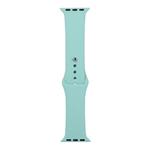 For Apple Watch Series 8&7 41mm / SE 2&6&SE&5&4 40mm / 3&2&1 38mm Silicone Watch Band, Short Section (Female)(Blue Sea)