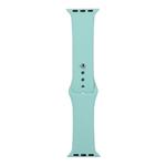 For Apple Watch Ultra 49mm / Series 8&7 45mm / SE 2&6&SE&5&4 44mm / 3&2&1 42mm Silicone Watch Band, Short Section (Female)(Blue Sea)