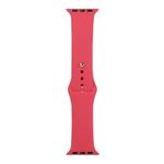 For Apple Watch Series 8&7 41mm / SE 2&6&SE&5&4 40mm / 3&2&1 38mm Silicone Watch Band, Short Section (Female)(Hibiscus Pink)