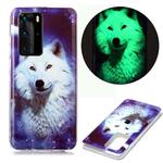 For Huawei P40 Pro Luminous TPU Soft Protective Case(Starry Sky Wolf)
