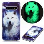 For Samsung Galaxy S10 Luminous TPU Soft Protective Case(Starry Sky Wolf)