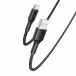 YESIDO CA98 2.4A USB to Type-C Braided Charging Data Cable with Indicator Light, Length:2m(Black)