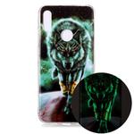 For Huawei Y6 (2019) Luminous TPU Soft Protective Case(Ferocious Wolf)