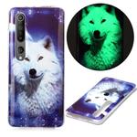 For Xiaomi Mi 10 5G Luminous TPU Soft Protective Case(Starry Sky Wolf)