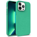 For iPhone 15 Pro Max TPU Shockproof Phone Case(Green)