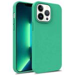 For iPhone 15 Pro TPU Shockproof Phone Case(Green)