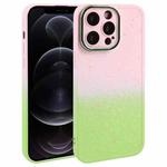 For iPhone 12 Pro Gradient Starry Silicone Phone Case with Lens Film(Pink Green)