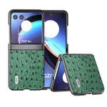 For Motorola Razr 40 Ultra ABEEL Genuine Leather Ostrich Texture Phone Case(Green)