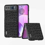 For Motorola Razr 40 Ultra ABEEL Genuine Leather Ostrich Texture Phone Case(Black)