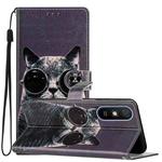 For Xiaomi Redmi 9A Colored Drawing Leather Phone Case(Sunglasses Cat)