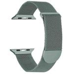 For Apple Watch SE 2022 40mm Milanese Metal Magnetic Watch Band(Pine Green)