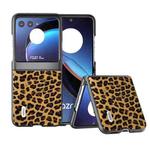 For Motorola Razr 40 Ultra ABEEL Black Edge Leopard Phone Case(Golden Leopard)